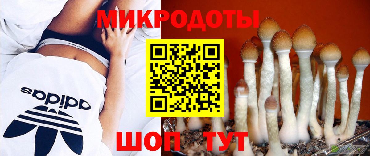 Псилоцибиновые грибы MAGIC MUSHROOMS  Галлюциногенные грибы MAGIC MUSHROOMS  Якутск  Вход с VPN 